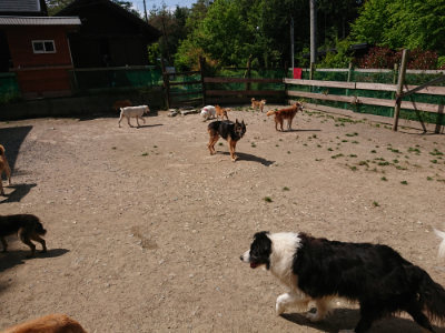 f:id:roukenhome-ann:20190517140329j:plain