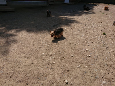 f:id:roukenhome-ann:20190517140336j:plain
