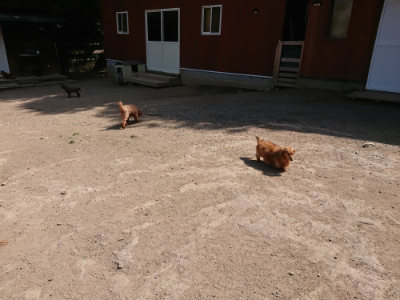 f:id:roukenhome-ann:20190517140340j:plain