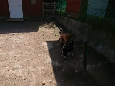 f:id:roukenhome-ann:20190517140345j:plain