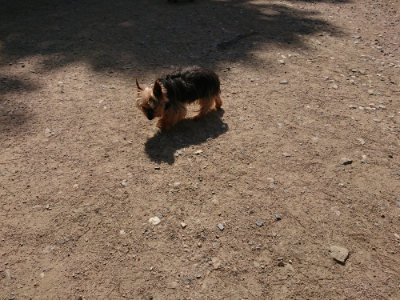 f:id:roukenhome-ann:20190517140356j:plain