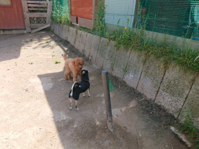 f:id:roukenhome-ann:20190517140401j:plain