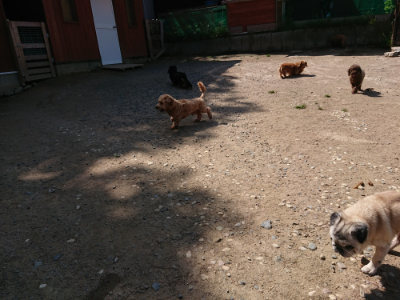 f:id:roukenhome-ann:20190517140410j:plain