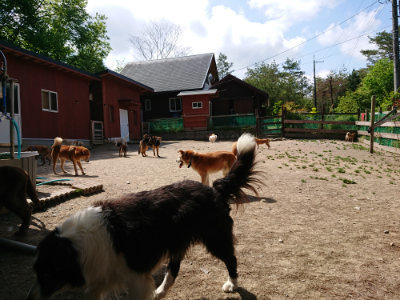 f:id:roukenhome-ann:20190517140420j:plain