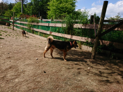 f:id:roukenhome-ann:20190517140426j:plain