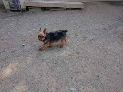 f:id:roukenhome-ann:20190517140431j:plain
