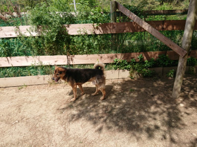 f:id:roukenhome-ann:20190517140442j:plain