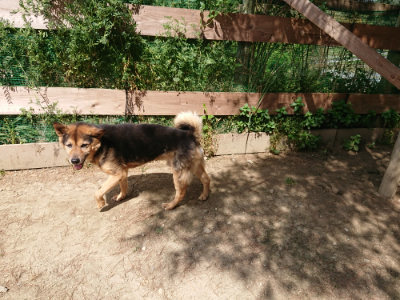 f:id:roukenhome-ann:20190517140448j:plain
