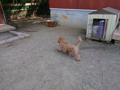 f:id:roukenhome-ann:20190517140508j:plain