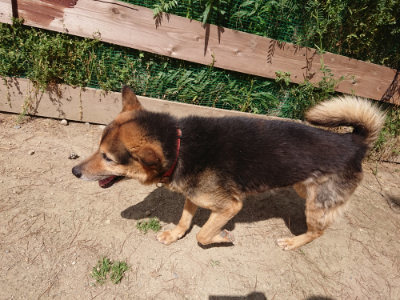 f:id:roukenhome-ann:20190517140528j:plain