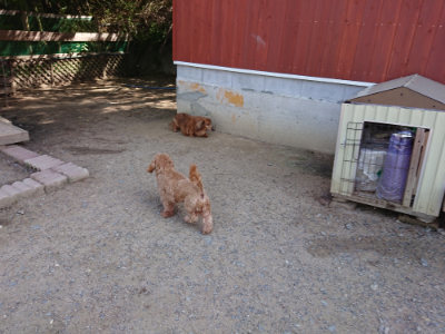 f:id:roukenhome-ann:20190517140532j:plain