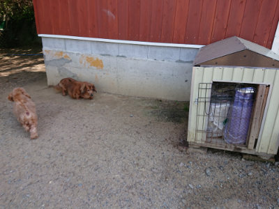 f:id:roukenhome-ann:20190517140536j:plain