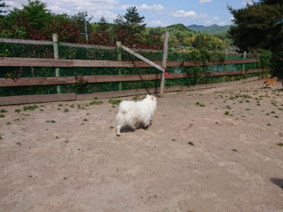 f:id:roukenhome-ann:20190517140546j:plain