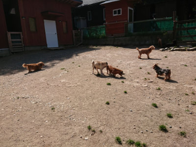 f:id:roukenhome-ann:20190517140551j:plain