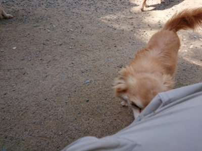 f:id:roukenhome-ann:20190517153015j:plain
