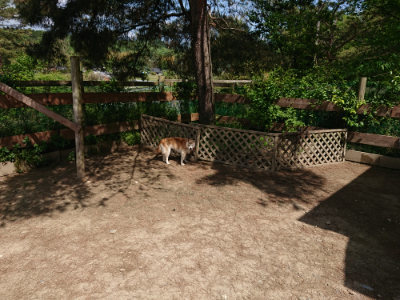 f:id:roukenhome-ann:20190517153031j:plain