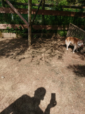 f:id:roukenhome-ann:20190517153035j:plain