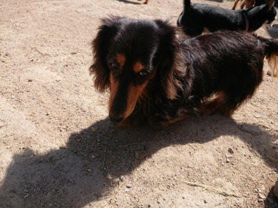 f:id:roukenhome-ann:20190517153116j:plain