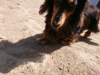 f:id:roukenhome-ann:20190517153121j:plain