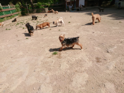 f:id:roukenhome-ann:20190517153144j:plain