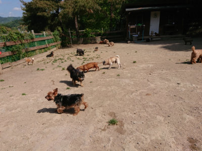 f:id:roukenhome-ann:20190517153149j:plain