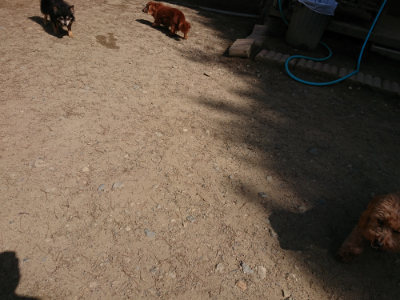f:id:roukenhome-ann:20190517153159j:plain
