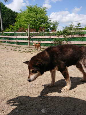 f:id:roukenhome-ann:20190517153204j:plain