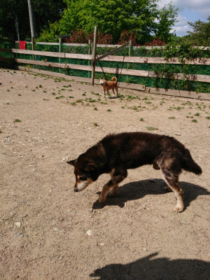 f:id:roukenhome-ann:20190517153209j:plain