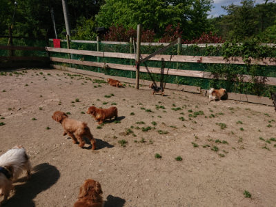 f:id:roukenhome-ann:20190517153219j:plain