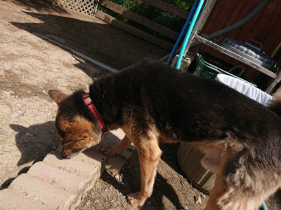 f:id:roukenhome-ann:20190517153233j:plain