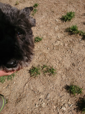 f:id:roukenhome-ann:20190517153243j:plain