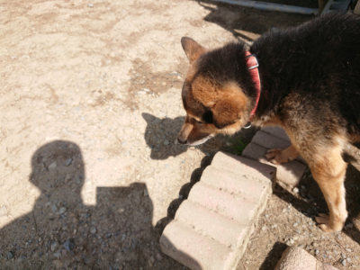 f:id:roukenhome-ann:20190517153254j:plain