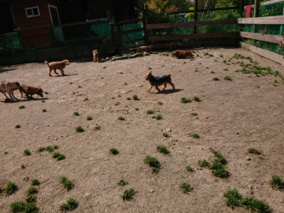f:id:roukenhome-ann:20190517153328j:plain