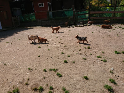 f:id:roukenhome-ann:20190517153342j:plain