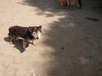 f:id:roukenhome-ann:20190517153401j:plain