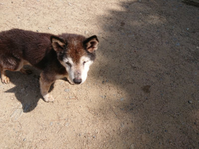 f:id:roukenhome-ann:20190517153417j:plain