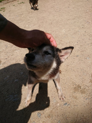f:id:roukenhome-ann:20190517153422j:plain