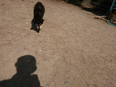 f:id:roukenhome-ann:20190517153457j:plain