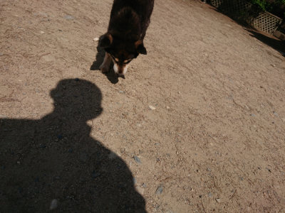 f:id:roukenhome-ann:20190517153503j:plain