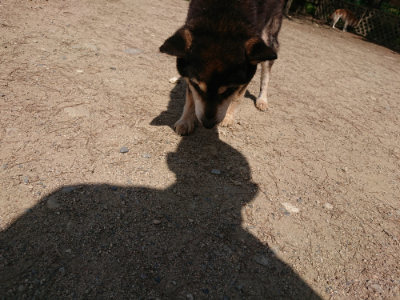 f:id:roukenhome-ann:20190517153510j:plain
