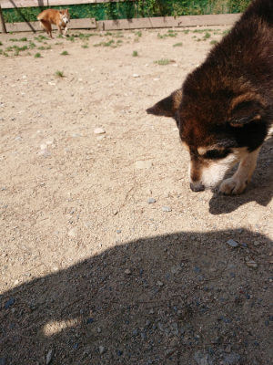 f:id:roukenhome-ann:20190517153523j:plain