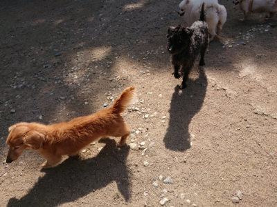 f:id:roukenhome-ann:20190517153724j:plain