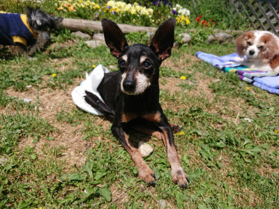 f:id:roukenhome-ann:20190517153748j:plain
