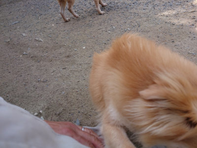 f:id:roukenhome-ann:20190517153801j:plain