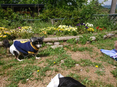 f:id:roukenhome-ann:20190517153808j:plain