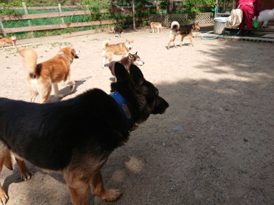 f:id:roukenhome-ann:20190517153850j:plain