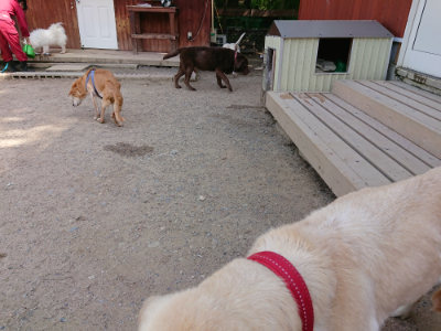 f:id:roukenhome-ann:20190517153855j:plain