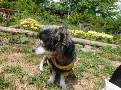 f:id:roukenhome-ann:20190517153900j:plain