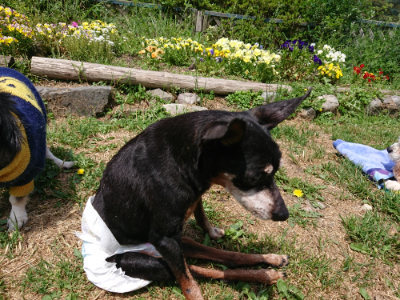 f:id:roukenhome-ann:20190517154040j:plain