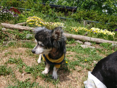 f:id:roukenhome-ann:20190517154108j:plain